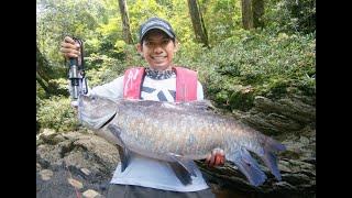 FISHING MONSTER MAHSEER WEST BORNEO 26,7 Lbs - Danz Perdana