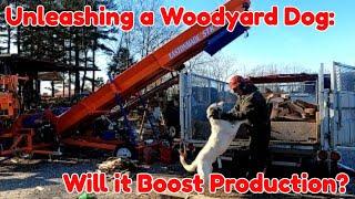 Unleashing a Woodyard Dog.  Will it Boost Production?