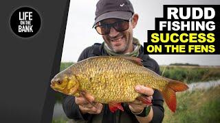 RUDD FISHING TIPS - SUCCESS on the Fens