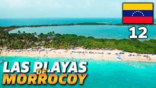 Las Maravillas de MORROCOY ️ ¿Las mejores PLAYAS de VENEZUELA?