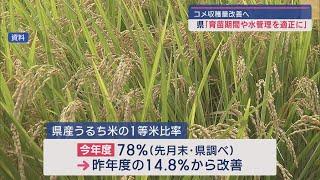 2年連続「やや不良」コメ収穫量改善へ県が呼びかけ【新潟】スーパーJにいがた11月21日OA