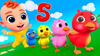 5 Little Ducks Song | Nursery Rhymes & Kids Songs | Tinytots