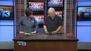 WLOS ABC 13   Western North Carolina's News  Craft 3