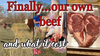 GRASS FED BEEF and how it TASTES!  Slaughtering our first steers ￼#cow #steers #grass #farmlife ￼