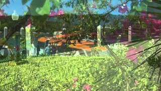 Holland America - Half Moon Cay