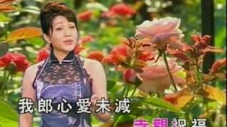 懷舊_(胡美儀)-MV