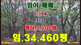 물번,705번) 임야34.460평 평당,2.200원으로 확 내려서 매매합니다 임도 잘 만들어져 있고 전기 인입 쉬우며 계곡도 접하고 있습니다, 상단 부분까지 차량통행 됩니다~