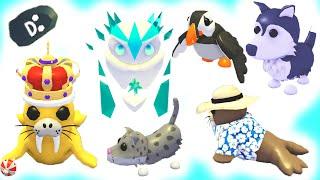 NEW Adopt Me Winter Pets + Surprise Walrus Box