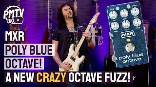 MXR Poly Blue Octave Pedal! - A Crazy New 4 Octave/Phasing/Fuzz Pedal From The Crazy Folk At MXR!