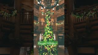 #happyholidays #wildernesslodge #boulderridgevillas