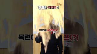 회사 대표가 #콘텐츠 에 진심일 때 2 #목련어묵