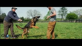 Global K9 Protection Services