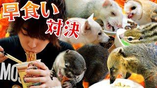 動物達と大食い＆早食い対決した結果、白熱バトルに！！！