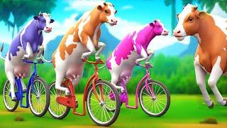 3 Giant Color Cows Race to Victory in a Funny Cycle Challenge! Funny Cow Cartoon Videos