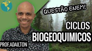 CICLOS BIOGEOQUÍMICOS | Biologia Plena