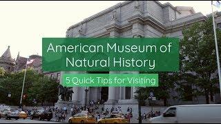 American Museum of Natural History: 5 Quick Tips for Visiting