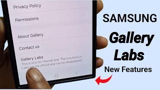 Samsung Galaxy Device New Gallery Labs Features One ui 6.1.1