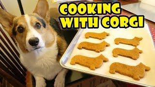 COOKING with CORGI DOG for CHRISTMAS || Life After College: Ep. 577