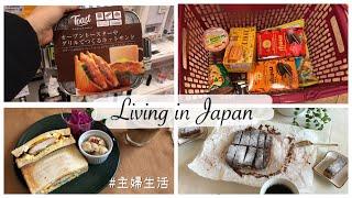 New Toys in My Kitchen, Shopping for Snacks, Be My Valentine? | Living in Japan Vlog