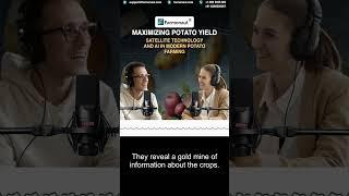 Satellite Technology and AI in Modern Potato Farming