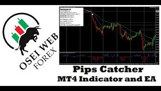 Pips Catcher Indicator and EA (Trend and Scalping)