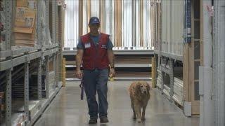 Disabled Veteran and His Service Dog Get Job at Hardware Store