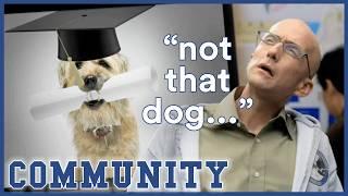 Did Greendale Give A Degree To A Dog? | Community