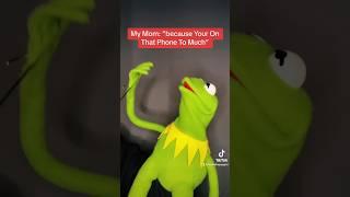 Because Your On That Phone To Much TIKTOK Meme With Kermit The Frog