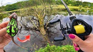 Cet étang déborde et on pêche les gros poissons dans nos pieds avec cette souris !!!