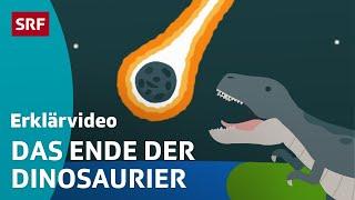 Das grosse Dinosauriersterben nach dem Asteroiden – einfach erklärt | Kindervideos | SRF Kids