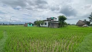 1 2 Lakh Dhur| sasto jagga itahari | Land on sale itahari | Direct Owner 9811399272 #itahari_nepal