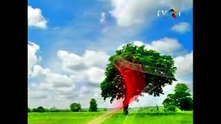 TVR International - Ident de Publicitate - 2011