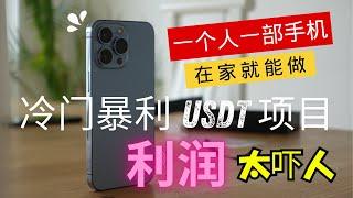 网赚 如何合法的用100块钱赚到1000000？野路子搞钱小项目，利润大道吓人，赚钱 灰产 快钱 副业   币圈 兼职  泰达币  搬砖项目（做灰产的东叔 ）