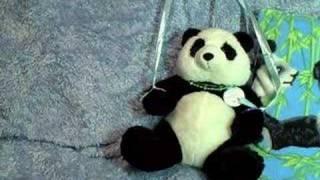 Panda's Video