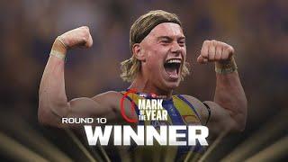 Harley gets a huge sit for Mark of the Year nomination | Round 9, 2024 | AFL