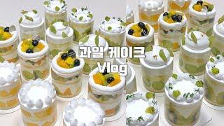 ‍Fruit mini cream cake | Shine muscat, apple mango, kiwi, orange, blueberry cream cake recipe