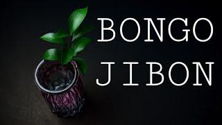 BONGO JIBON