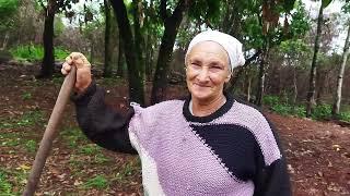 DONA CIDA PLANTANDO E CUIDADNDO DA CHÁCARA DO VIZINHO