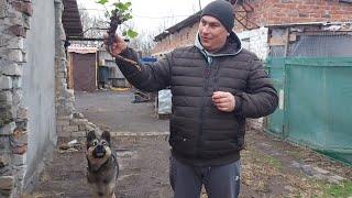 Я за неё забыл. Переделал теплицу.