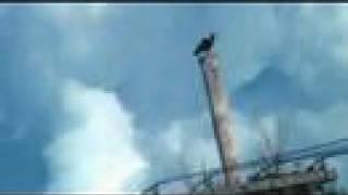 "Hello Blue Sky" - The Flood