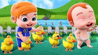 Five Little Ducks Song - Baby Songs - Nursery Rhymes & Kids Songs - Little Song PIB