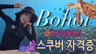 필리핀 보홀 현지업체에서 스쿠버 자격증 어드밴스 취득! | Big blue divers 빅블루다이버 | 더로스트카우 | 스쿠버다이빙