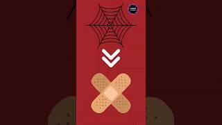 मकड़ी के जाले से BAND AID ? | #ytshorts #factsinhindi #viral #spider