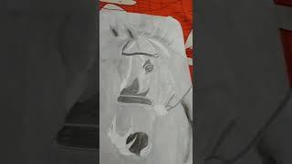 /Horse Drawing/ Ayush Drawing/