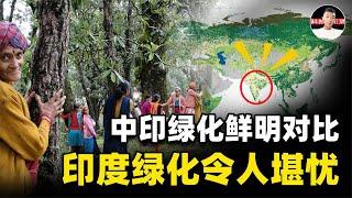 中印引领全球绿化，两国鲜明对比，NASA为何对印度绿化很担忧 ？【科普启示录】