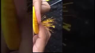 #Amira#fashion #handmadejewllery #diy#youtubeshorts #trending #silkthreadbanglesmaking #shorts