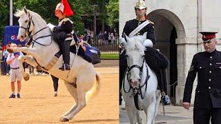 HORSE REFUSES to Move Forward and Spooks Suddenly at Horse Guards Parade Captain Helps King's Guard