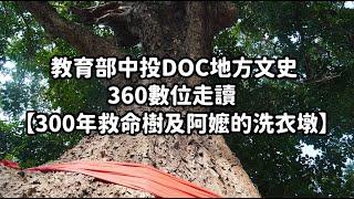 教育部中投DOC地方文史360數位走讀 - 【300年救命樹及阿嬤洗衣墩】