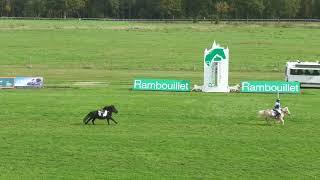 Course 9 - Prix Fédération Française d'Equitation remporté par Sacha Besnier & Risette Gareliere