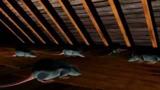 Catseye Pest "Rats In The Attic" Commercial